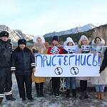 В Республике Алтай в Чемальском районе    автоинспекторы и школьники провели акцию «Пристегнись  Чемал!»