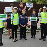 В Новосибирской области сотрудники Госавтоинспекции и участники отрядов ЮИД провели акции по обеспечению безопасности юных пешеходов