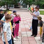 Новосибирские госавтоинспекторы и волонтёры провели с детьми подвижную игру «Дорожная азбука» по отработке безаварийного участия в дорожной среде