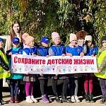 В Великом Новгороде «дорожный патруль» выступил за сохранение детских жизней 