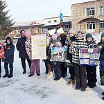 В Новосибирской области сотрудники Госавтоинспекции совместно с педагогами провели акцию «Шагающий автобус» 