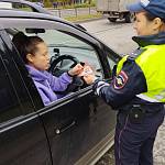 Дорожные полицейские Железногорска напомнили горожанам о безопасности юных пассажиров 