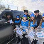 В Ростовской области провели акцию «Снежинки безопасности»